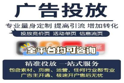 SEM推广实战：成功案例剖析